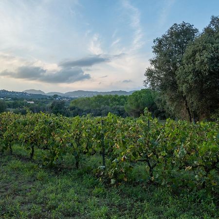 Casa Rural El Bruguer Vell Santa Eulalia de Ronsaná Екстериор снимка